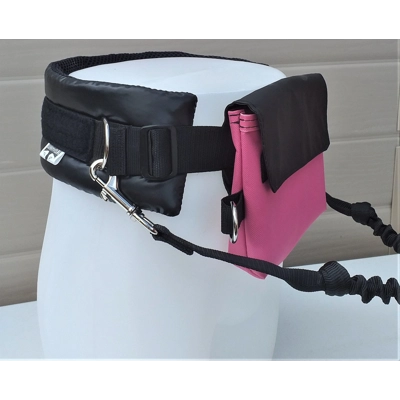 Belt Bag and lead set3