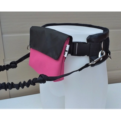 Belt Bag and lead set3