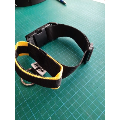 Safety Collar