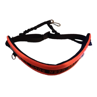 Hi Viz dog walking Belt £20