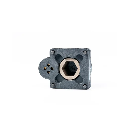 Roto Start Backplate ZR.21 Sport Pullstart