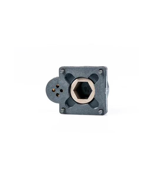Roto Start Backplate ZR.21 Sport Pullstart