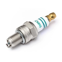 Spark Plug ME - 243 (Blackout MT)