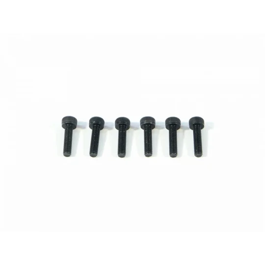 Cap Screw M3x12mm (2.5mm hex socket/6Pcs)