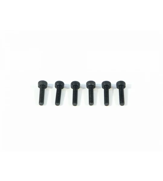 Cap Screw M3x12mm (2.5mm hex socket/6Pcs)