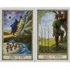 The Druid Craft Tarot Cards - Philip & Stephanie Carr-Gomm