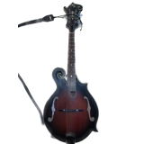 Michael Kelly LFP Mandolin