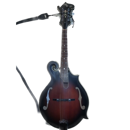 Michael Kelly LFP Mandolin