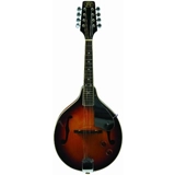 JBP Electric Mandolin