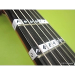 Fretnotes - Classical Guitar