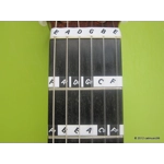 Fretnotes - Classical Guitar