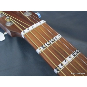 Fretnotes - Teaching Pack