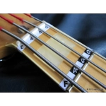 Fretnotes - Bass Guitar