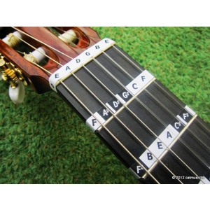 Fretnotes - Classical G..