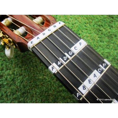 Fretnotes - Classical Guitar