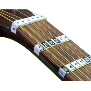 Fretnotes - 6-String