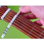 Fretnotes - 6-String