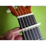 Fretnotes - Classical Guitar