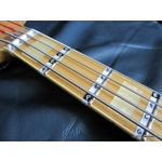 Fretnotes - Bass Guitar