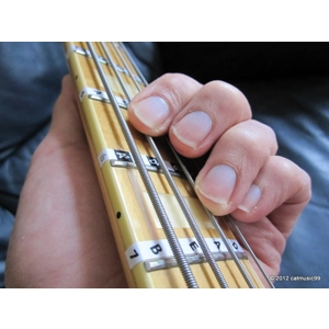 Fretnotes - Bass Guitar