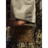 Gotu Kola