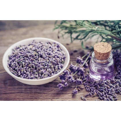 Lavender 16 ounce