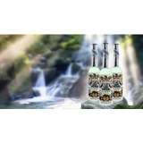 Flordia Water