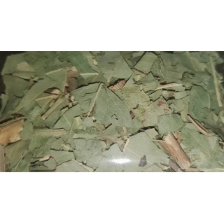 eucalyptus/ eucalipto