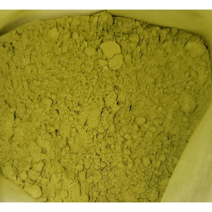 moringa oleifera pack