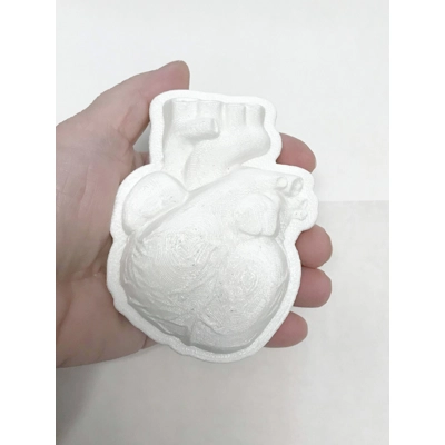 Anatomical Heart Soap Bath/Bath Bomb handmade plastic mold