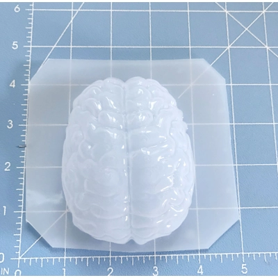 BRAINZZZZZ Soap or Bath Bomb Handmade Plastic Mold
