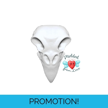 Raven or Crow Skull Handmade..