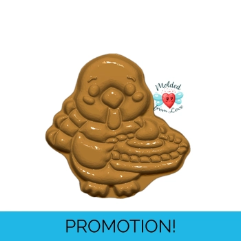 Kawaii turkey with pumpkin p..