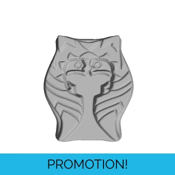 Ashoka Silhouette ..