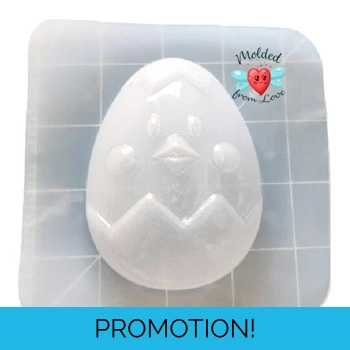 Cute Little Chick ..