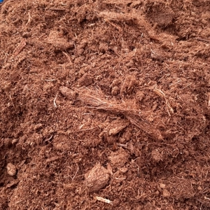 Blonde turf 12l Blonde turf 12l