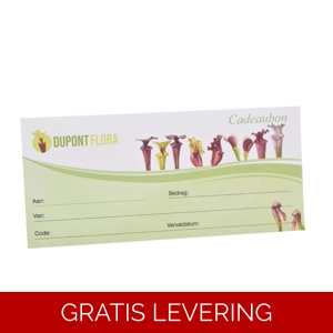 Cadeaubon / gift card