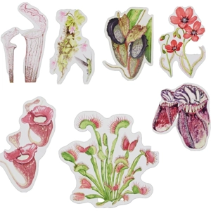 Vinyl stickers vleesetende planten Vinyl stickers vleesetende planten