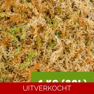 Sphagnum Supreme Nieuw-Zeeland (Spagmoss)