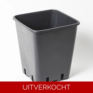Vierkante kweekpot 23x18 cm / 6,5l zwart