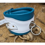 Posture Collar in White and Turquoise