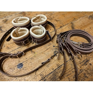 Full Set of Restraints - Wri..