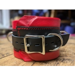 Heavy Duty Padded wide Collar Any Colour