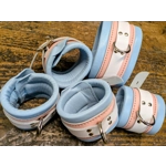 Baby Pink and Baby Blue Restraints Set
