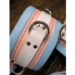 Baby Pink and Baby Blue Restraints Set