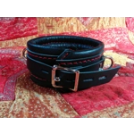 CUSTOM COLORS ORDER - Heavy Duty Padded Restraint Collar