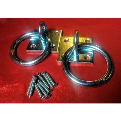 Dungeon Rings - 2x solid steel tie up chain up rings. Large 2.5" ring