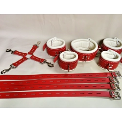 Full Set of Restraints - Wri..