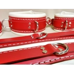Full Set of Restraints - Wrist, Ankle, Collar, hog tie, bed straps.