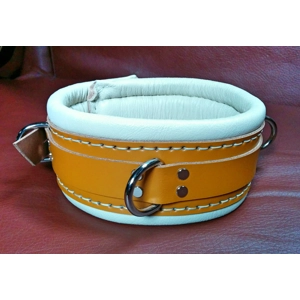 Heavy Duty Restraint Collar ..